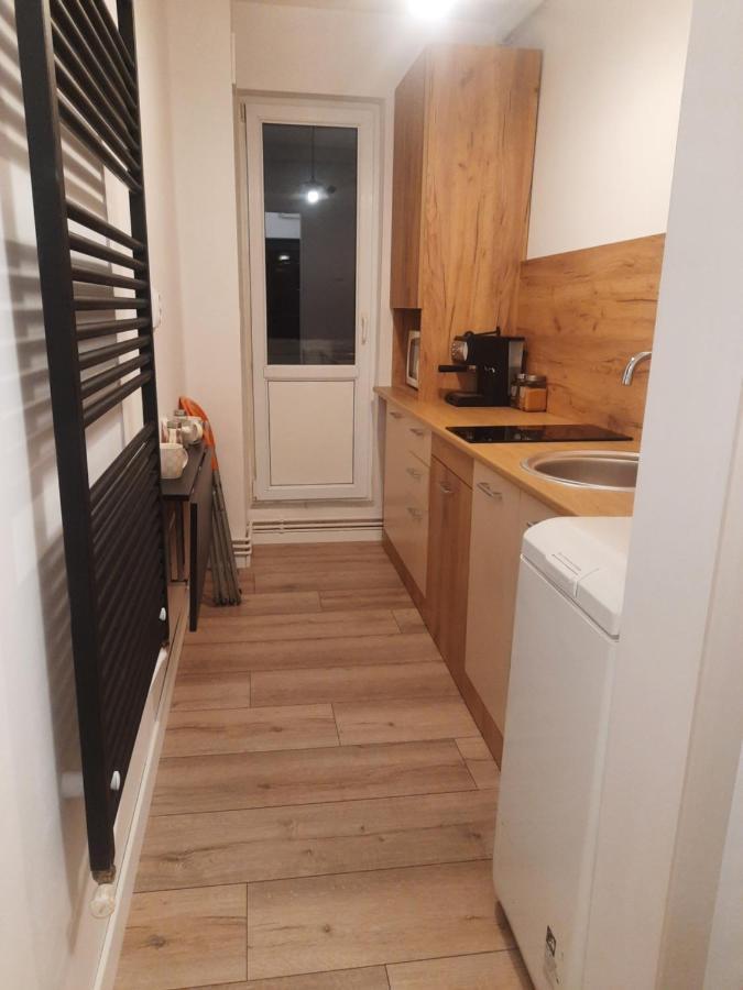 Lyra Apartment Sfantu Gheorghe  Ngoại thất bức ảnh
