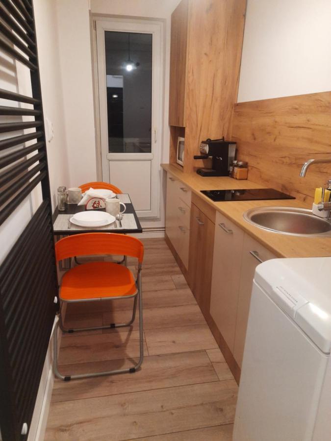 Lyra Apartment Sfantu Gheorghe  Ngoại thất bức ảnh